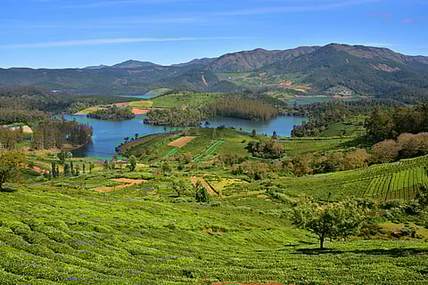 Astonishing view of Emerald lake and the surrounding Nilgiri hills