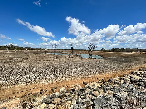 Dried up lake at Yala National Park
