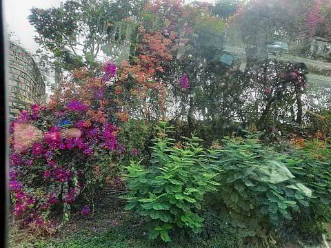 A glimpse of the Bengaluru flush in January taken from inside the car