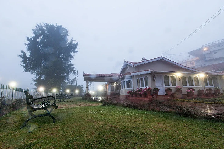 Bouganvilla, Ooty