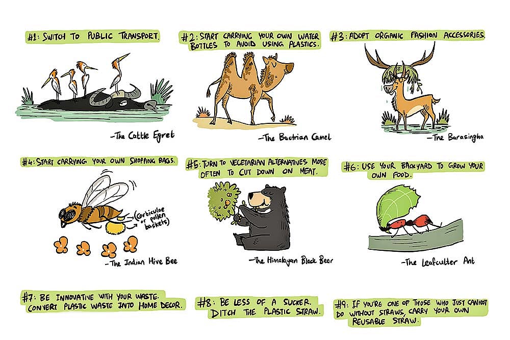 12 Green Resolution Suggestions From Wild Animals