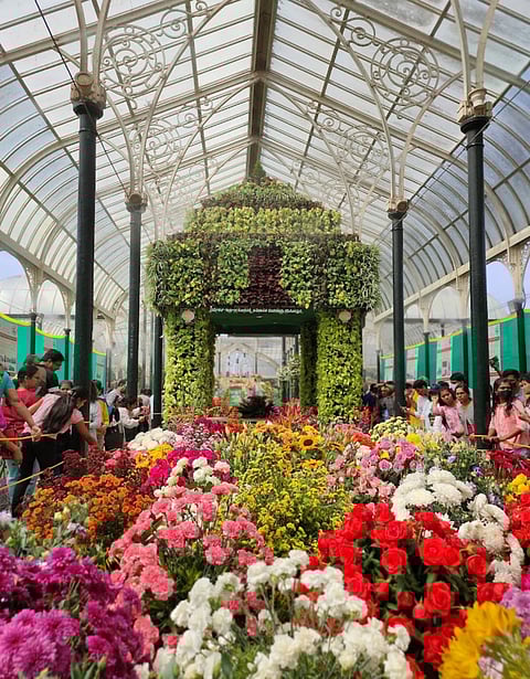 A glimpse of the flower show held in January 2023