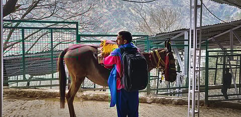 One of the oldest ways people get up there is through a pony, pithoo (coolies), palki (palanquin), or foot
