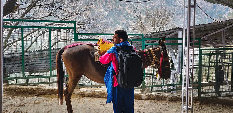 One of the oldest ways people get up there is through a pony, pithoo (coolies), palki (palanquin), or foot