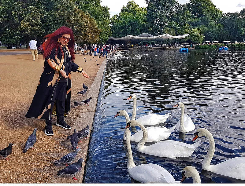 Husain feeding swans and pigeons at Serpentine Lake, Hyde Park