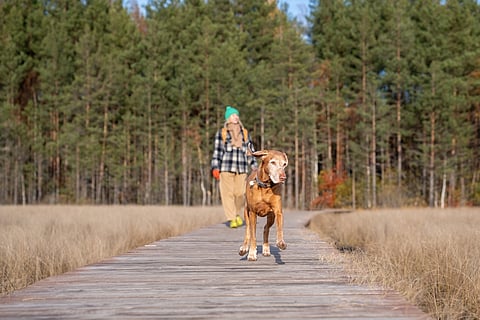 Representational image