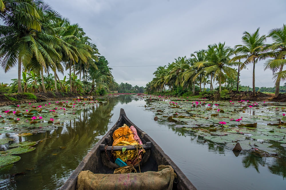 A canoe at the backwaters of Kerala
