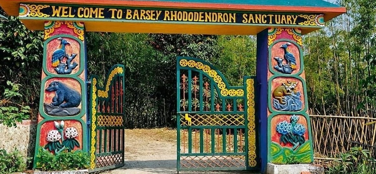 The Barsey Rhododendron Sanctuary