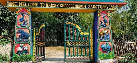 The Barsey Rhododendron Sanctuary