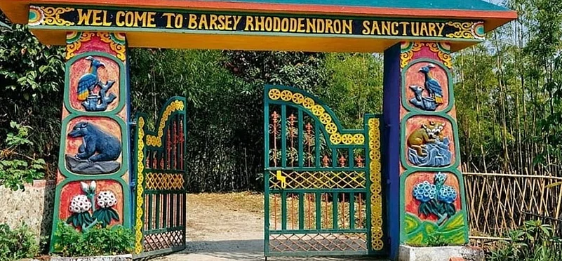 The Barsey Rhododendron Sanctuary