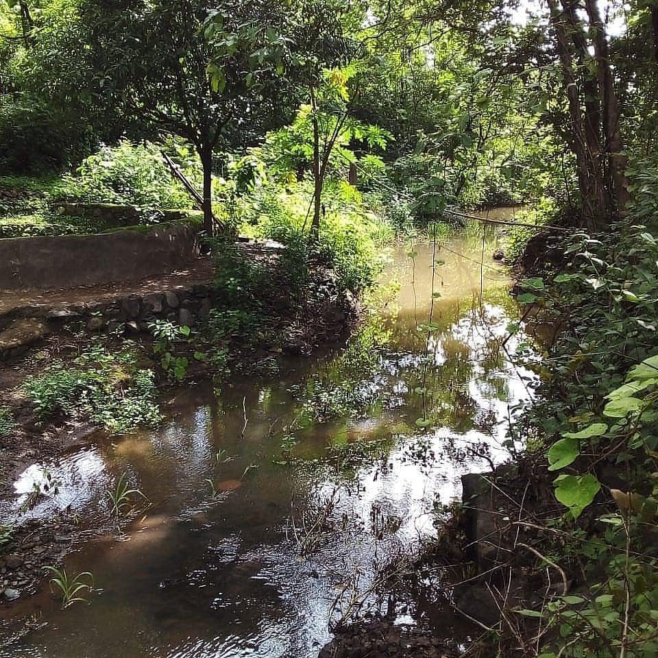 Vanvadi lies in the foothills of the Sahyadri range in the Western Ghat mountains
