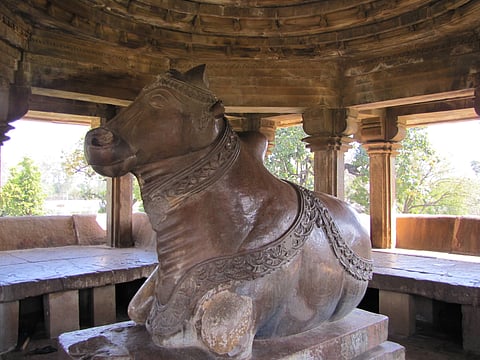 The Nandi image is over 2.2 m long and 1.8 m high
