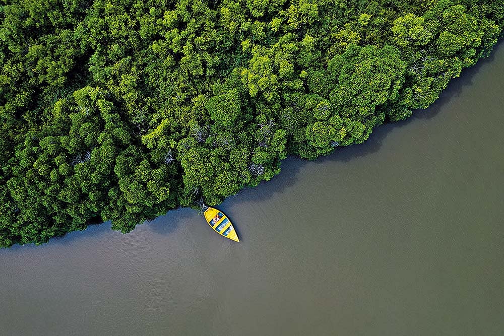 Off The Beaten Track