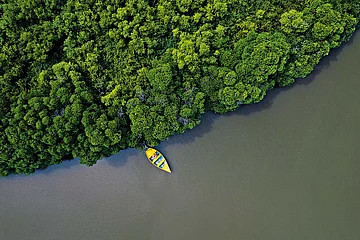 Off The Beaten Track