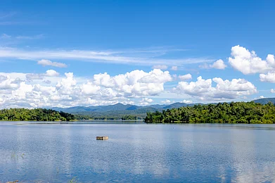Shutterstock : Kiew Kho Ma Dam