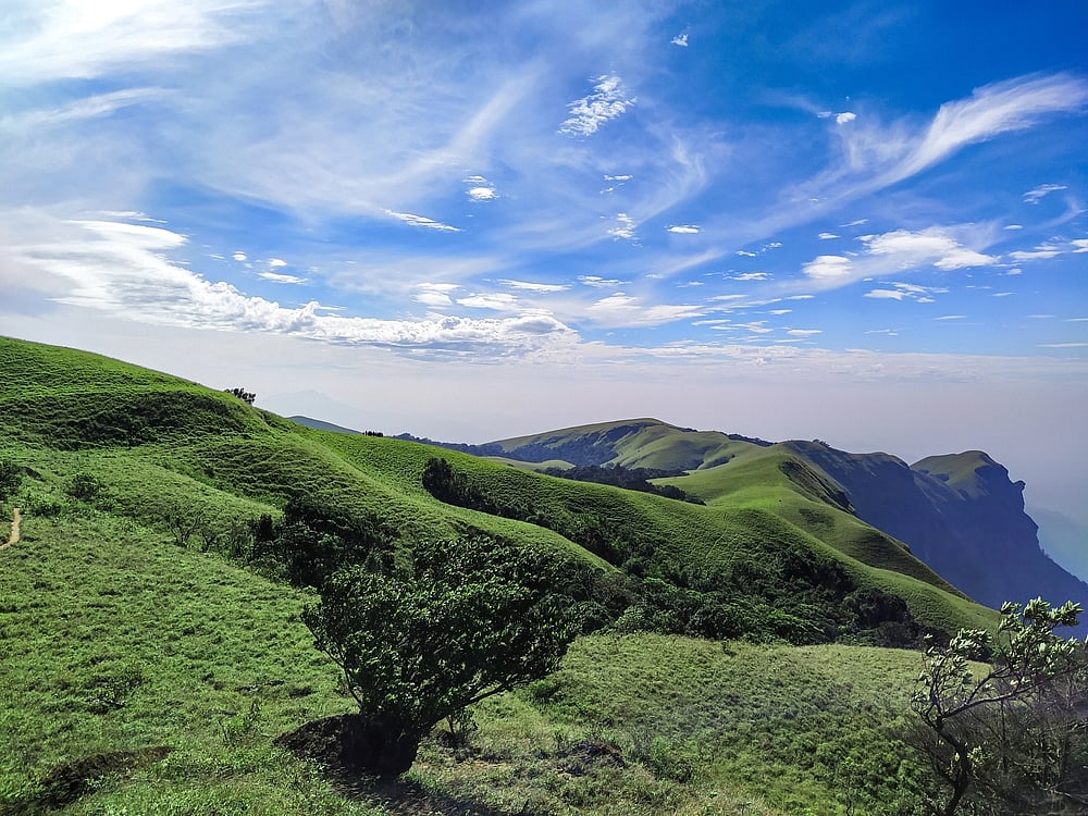 Sholas and grasslands of Western Ghats in Chikmaglur