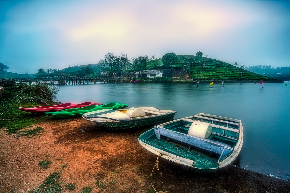 Boats parked on the shore