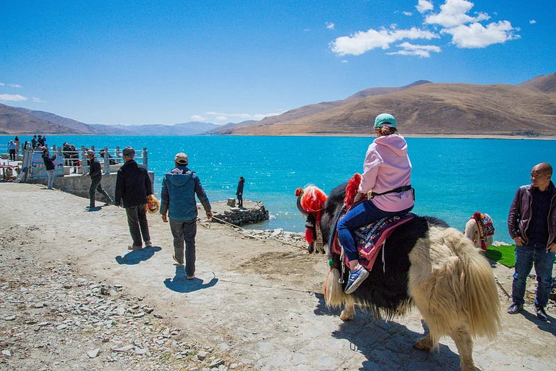 Tourists ride on a yak near the sacred lake Yamdrok-Tso in Tibet