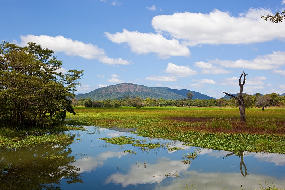 Wasgamuwa National Park