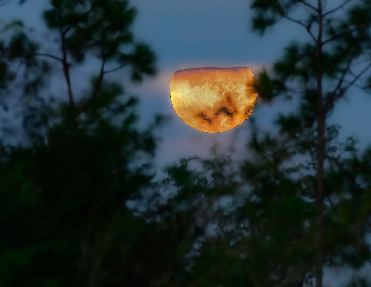 Shutterstock : The last Super Moon of 2023