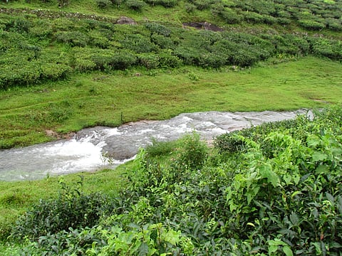 A flowing stream