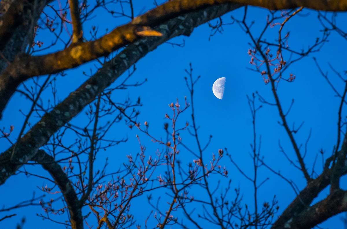 Moon in the last quarter