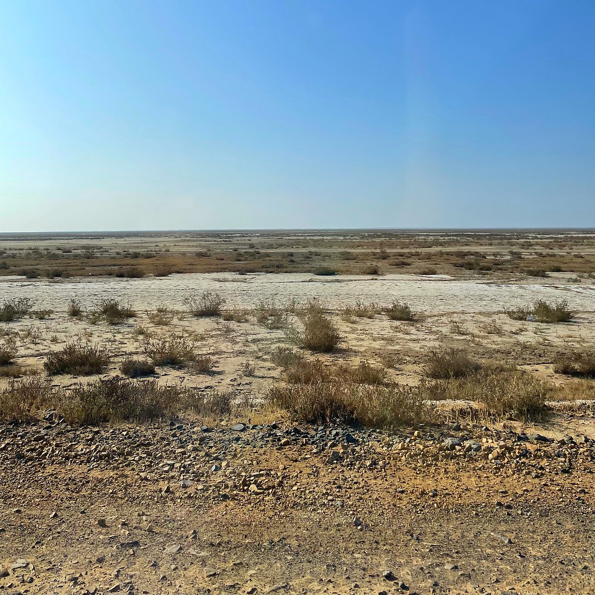 The Banni Grassland is Asias largest grassland and a protected area