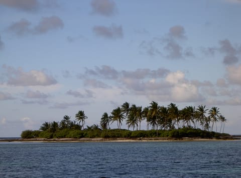 Due to its delicate ecosystem, no non-islander is allowed to buy or even lease any land in Lakshadweep