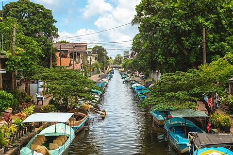 Go on a private boat tour through the Dutch Canal to explore the city