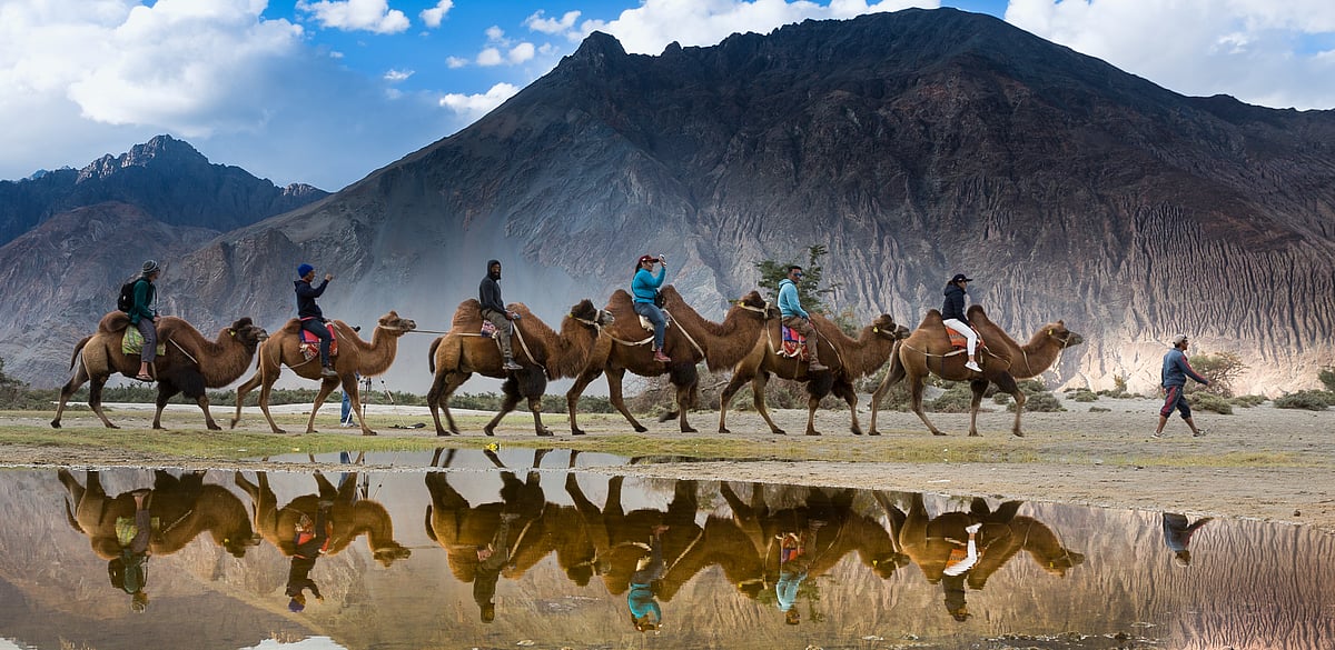 Reflection of camels and camel riders in a camel safari in Nubra