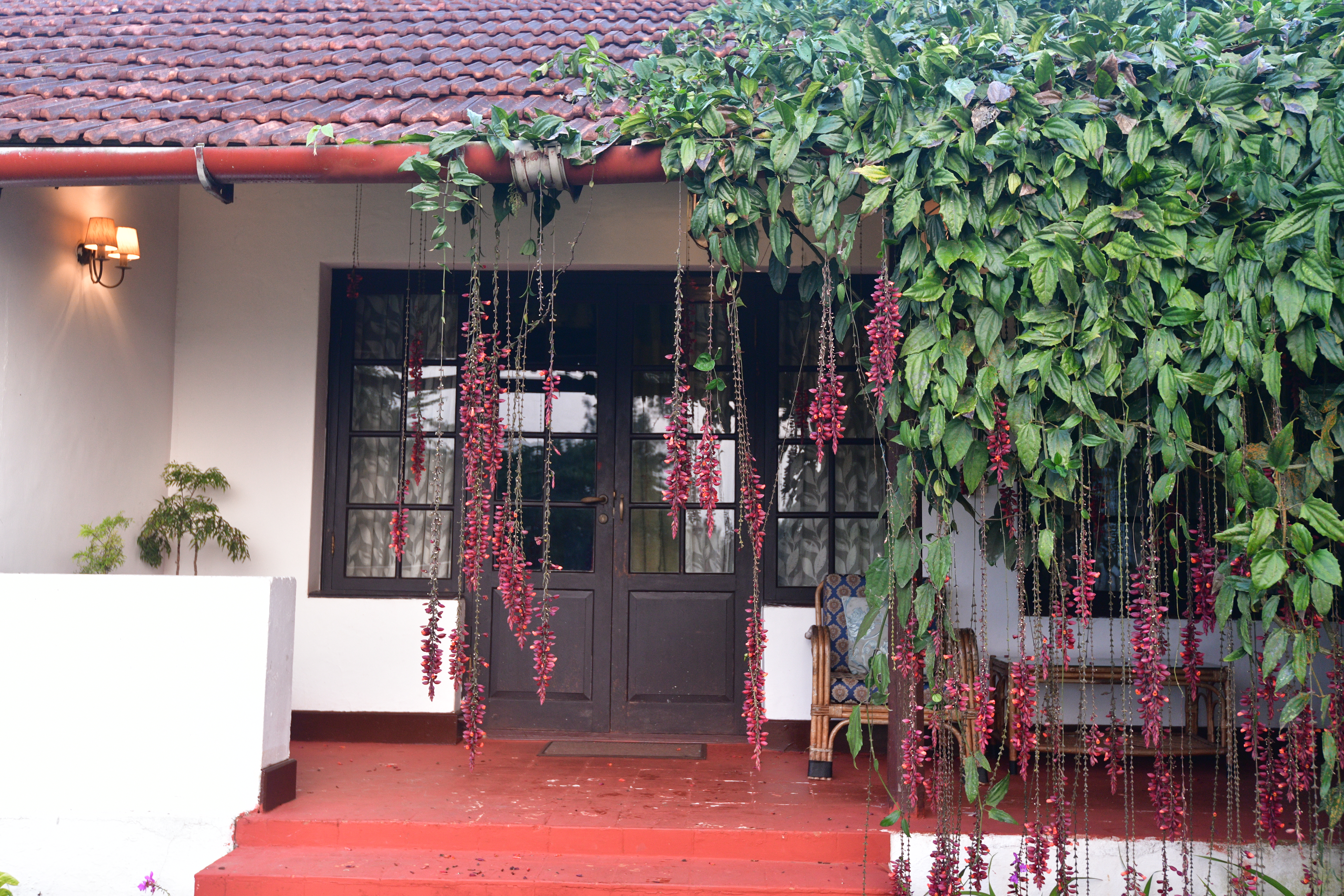 A view of the Cottabetta bungalow