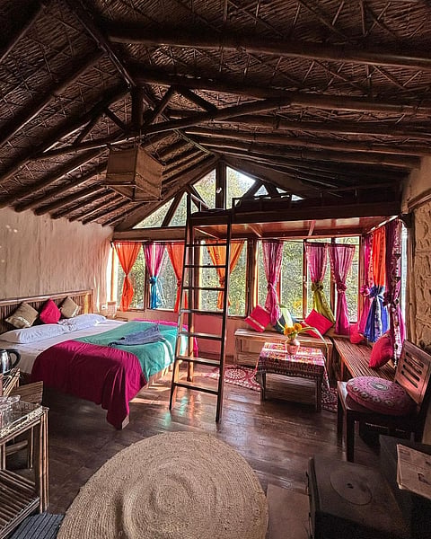 A room at Tieedi Forest farm in Darjeeling