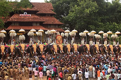 AJP / Shutterstock : Decorated elephants being paraded at Vadakkumnathan Temple