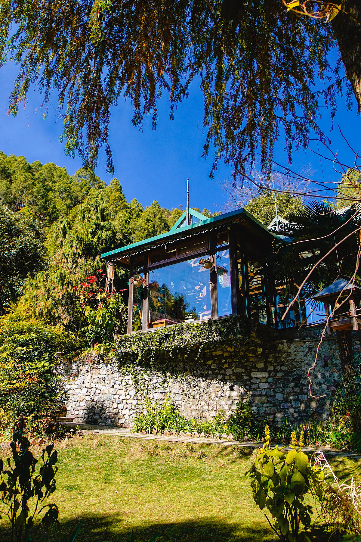 Himalaica is flanked by vast reserve forests of oak and pine trees