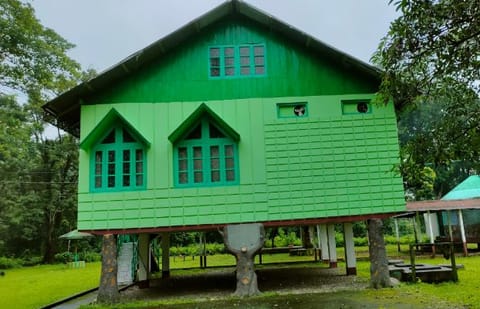 Mendabari, located close to Alipurduar and Hasimara, is an offbeat location in the Dooars region famed for cascading rivers and lush forests