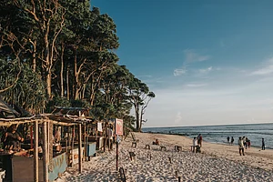 Unsplash : Andaman and Nicobar islands are home to several luxurious hotels and resorts