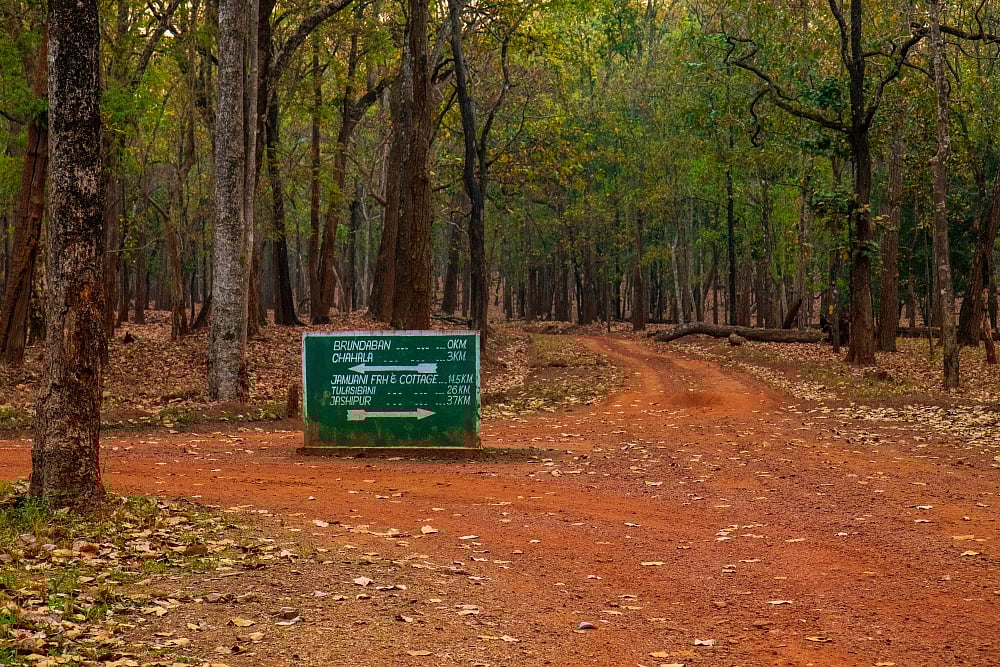 Simlipal Biosphere Reserve is situated in the Keonjhar district of northeast Odisha