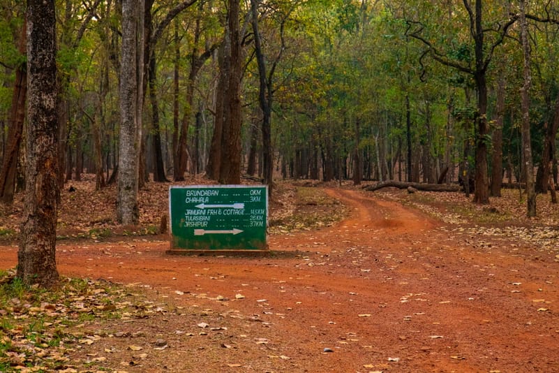 Simlipal Biosphere Reserve is situated in the Keonjhar district of northeast Odisha