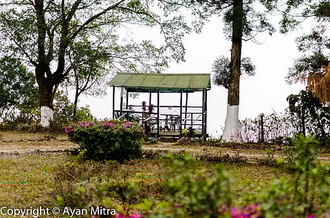 Selim Hill Tea Estate was founded in 1870