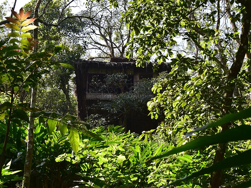 The Vanya Tree House is surrounded by forests, ridges, and mountains