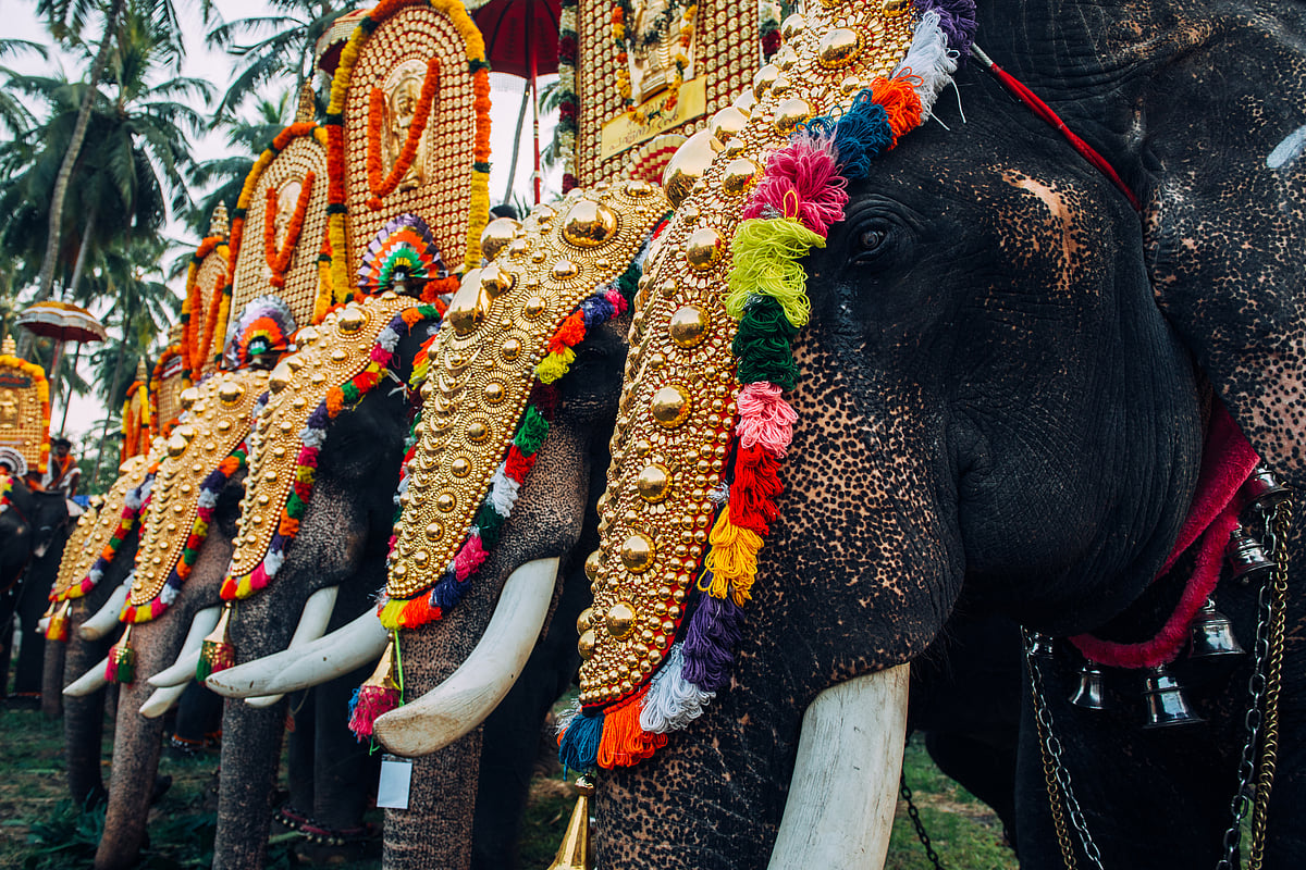 All About Keralas Cultural Capital Thrissur