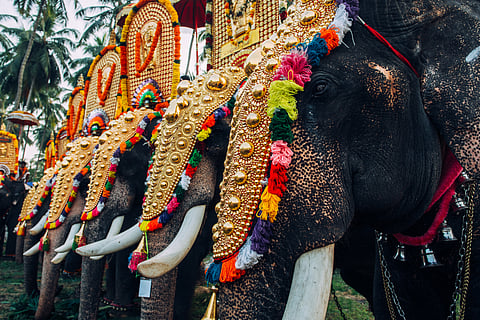 All About Kerala's 'Cultural Capital' Thrissur