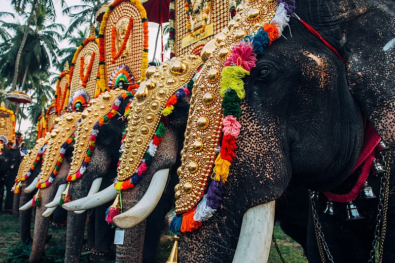 All About Keralas Cultural Capital Thrissur