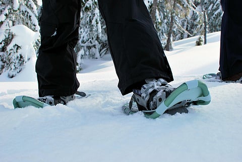 Snowshoes in action