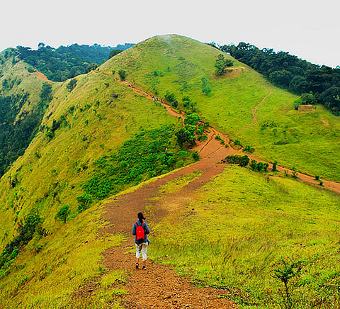 Go trekking at Kodachadri
