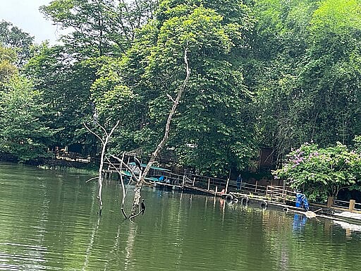 Thattekad sanctuary was the first bird sanctuary in Kerala 