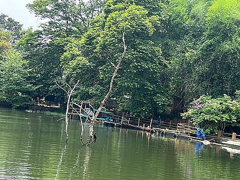 Thattekad sanctuary was the first bird sanctuary in Kerala
