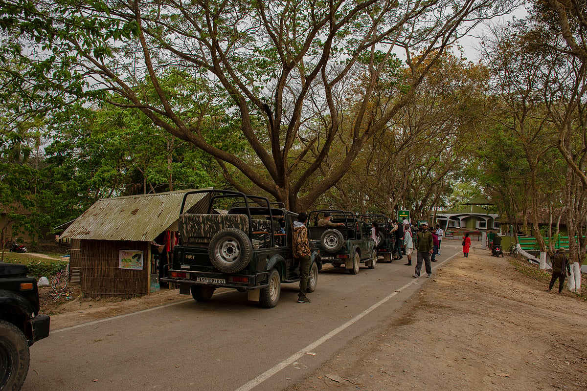 Kaziranga National Park