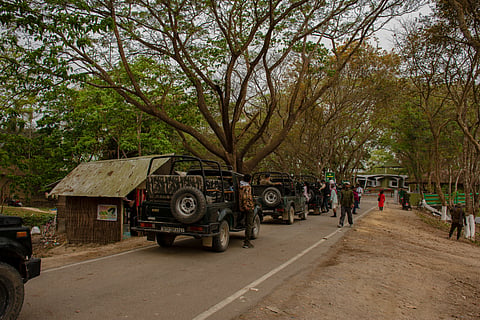 Kaziranga National Park