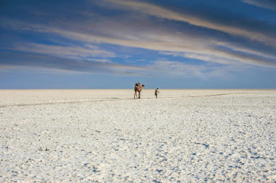 lego 19861111 on Shutterstock : The white desert makes a show every winter
